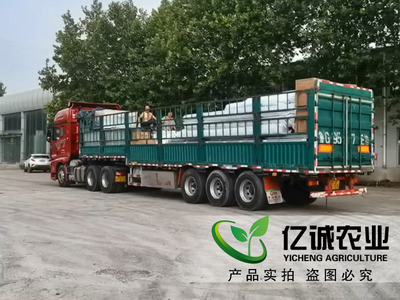 溫室大棚制造廠家施工現(xiàn)場案例-溫室工程出口圖片_青州市億誠農業(yè)科技