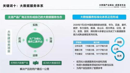 揭秘2020大數(shù)據(jù)十大關(guān)鍵詞 引領(lǐng)計(jì)算機(jī)軟件與數(shù)據(jù)處理服務(wù)新趨勢