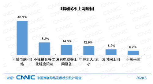 中國互聯網絡發展狀況統計報告（2020年第46次） 網民規模、結構狀況與計算機軟件數據處理服務分析